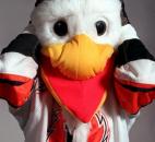 Fort Wayne Komets' mascot Icy D. Eagle celebrates 20 years