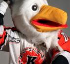 Fort Wayne Komets' mascot Icy D. Eagle celebrates 20 years