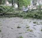 Tree blocked street on Duprey, near Monach Drive on the Northeast Side.(photo by Keith Hitchens)