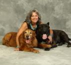 Picture your pet 2012