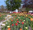 (Submitted by Jason August)