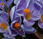 (Submitted by Jessica Shelby)