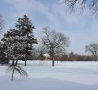 Northside Park was quiet Wednesday afternoon during the snowstorm. (Photo by Jaclyn Goldsborough of The News-Sentinel)