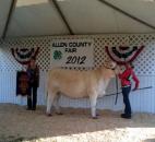 Kallie Knott, the champion of the Allen County Fair Beef Show, stands next to her prize-winning heifer, Pearl. Knott has been training Pearl for about a year. (Photo by Hana Hawash of The News-Sentinel)