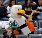 Fort Wayne Komets' mascot Icy D. Eagle celebrates 20 years