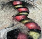 PHOTO GALLERY: 2013 Three Rivers Festival Chalk Walk