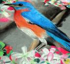 PHOTO GALLERY: 2013 Three Rivers Festival Chalk Walk