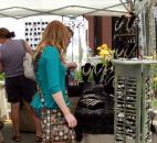 2014 Three Rivers Festival