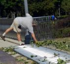 Jack Rhinehart, an employee of the Headwaters Park Alliance, clears debris Saturday where an ornamental pear tree fell and knocked down a section of ornate fencing. (Photo by Lisa Esquivel Long)