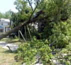 A downed tree is propped up over a house in the 4200 block of South Calhoun Street on Sunday, probably as a result of Friday afternoon’s storm.  (Photo by Lisa Esquivel Long)