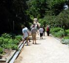 Visitors walk along the Walker Dllard Kirby Perennial Allee in the Sarah P. Duke Gardens in Durham, N.C.  (Photo by Lisa Esquivel Long of The News-Sentinel) 