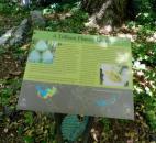 One of many educational markers in the H.L. Blomquist Garden of Native Plants at the Sarah P. Duke Gardens in Durham, N.C.  (Photo by Lisa Esquivel Long of The News-Sentinel) 
