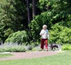 A woman walks her dog in the Doris Duke Center Gardens at the Sarah P. Duke Gardens in Durham, N.C.  (Photo by Lisa Esquivel Long of The News-Sentinel) 