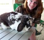 2014 Allen County Fair
