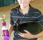 2014 Allen County Fair