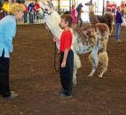 2014 Allen County Fair