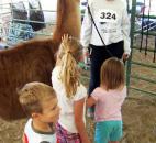 2014 Allen County Fair