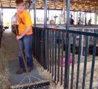 2014 Allen County Fair