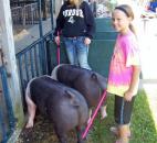 2014 Allen County Fair