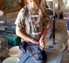 2014 Allen County Fair