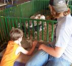 2014 Allen County Fair