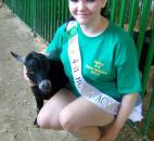 2014 Allen County Fair