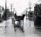 An unidentified man drove his carriage on a flooded North Clinton Street. (News-Sentinel file photo)