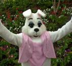 (News-Sentinel file photo)