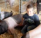 Joel Arney, 13, rubs the belly of his hog, Brucie, at the Allen County Fair. Arney said Brucie is crossbred, 6 months old and around 295 pounds. Arney is a seventh-grader at Carroll Middle School and has been breeding hogs for three years. (Photo by Wes Young of The News-Sentinel)