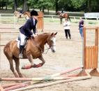 A horse and its rider begin the second jump during the Allen County Fair horse show. (Photo by Wes Young of The News-Sentinel)