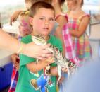 Justice Davison, 4, holds a baby alligator Thursday at the Allen County Fair Indiana Wild Animal Show. Beth Wood of the nonprofit Indiana Wild said her show creates a connection between kids and animals that spreads understanding of wildlife conservation in an age-appropriate way. (Photo by Wes Young of The News-Sentinel)