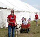 Talan Buell, 5, is going for a ride with Silver, also 5. Silver is being led by his owner Regina Shannon. The Shannon family bring their goats annually to the Allen County Fair for the Goat Cart rides. Silver is a Lamancha goat, a dairy breed that is known for its short ears. (Photo by Hana Hawash of The News-Sentinel)