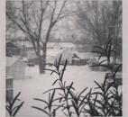(Photo submitted by Jaclyn Goldsborough on Instagram)
