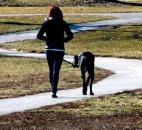 Taking advantage of the mild weather, a young woman walks her Great Dane at Lakeside Park on Feb. 25. (Photo by Ellie Bogue of The News-Sentinel)