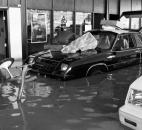 Fifteen automobiles in Poinsatte Motors' new-car showroom at 200 S. Clinton St. were partially submerged, even though they had been driven atop sandbags.