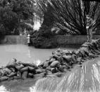 News-Sentinel reporter Jim Quinn checks out a failed dike as he works to document the city's flooding.