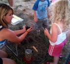 Natalie Parent, 4, and Chase Williams, 3, hang out with chicks in the animal petting area at the Allen County Fair on Friday. (Photo by Hana Hawash of The News-Sentinel)