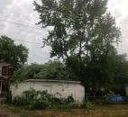 A tree fell on a garage. (Photo by Jon Swerens)