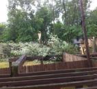 A tree falls on a fence and a house in Lake Forest addition. (Photo by Brad Saleik)