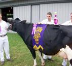 2014 Allen County Fair
