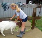 2014 Allen County Fair