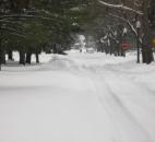 Deep tire ruts mark the trail of a vehicle that has passed down snow-covered Forest Park Boulevard north of Lakeside Park. (By Kevin Kilbane of The News-Sentinel)