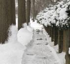 A snowblower's path provides a narrow trail between street trees and the snow-covered bushes along the fence of a home across from Lakeside Park. (By Kevin Kilbane of The News-Sentinel)