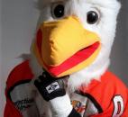Fort Wayne Komets' mascot Icy D. Eagle celebrates 20 years