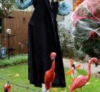 The 600 Block of Third Street  has been decked out to be particularly creepy. In Rob Strahm's side yard is a ghoulish woman complete with red flamingos.