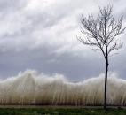Storm surge hits a small tree as winds from Hurricane Sandy reach Seaside Park in Bridgeport, Conn., on Monday. 
