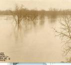 Looking east from the Fort Wayne Saddlery Company, the Maumee River crested at 26.1 feet. (Photo courtesy of the Harter Postcard Collection/ACPL)