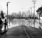 A man, a boy and a dog watch the water rise at the intersection of Calhoun Street and Tillman Road. The man said his backyard flooded in 1978, and weekend forecasts expected this flood to top that one.