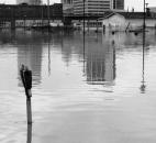 A parking meter sticks out the water of a flooded downtown street.