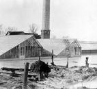 Vesey Greenhouses was flooded by the St. Marys River. A fire broke out after the flood at the Thompson Avenue business. (Photo courtesy of The History Center)